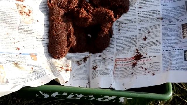 Земля для прикормки смотреть онлайн