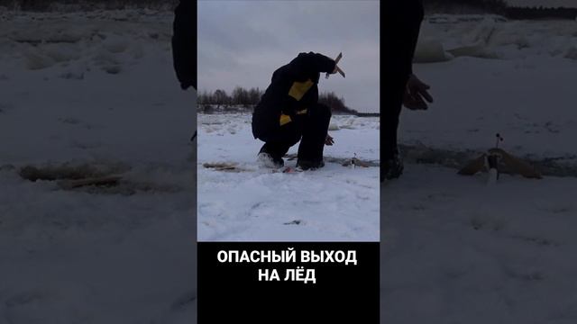Опасный выход на лёд. #рыбалка #река #поклевка #осень #тайга #зима #первыйлед #первыйлёд #подсечка смотреть онлайн