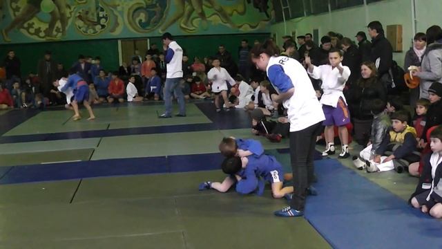 Амир чемпион смотреть онлайн