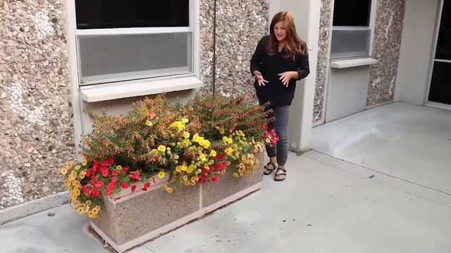 Why Garden Answer Is The Most Hated Gardening Channel | Garden Answer Highlights | New Plant Load!