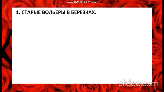 🔥 Женоподобный "десантник" 🔥 Лайки Соловьева🔥 смотреть онлайн