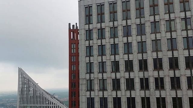 В гостях у Нидерландцев