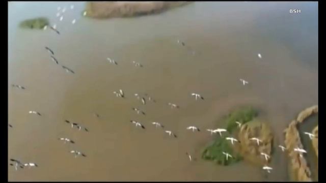 АЛЕКСАНДР КАЛЬЯНОВ - ВЫШЕЙ МНЕ РУБАХУ BSH смотреть онлайн