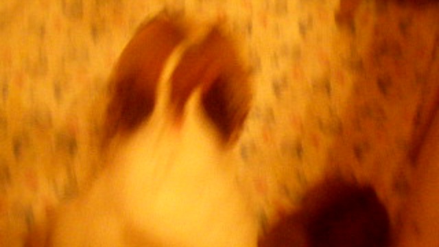 VIP  ФР.БУЛЬДОГИ КРАСНОГО  ОКРАСА