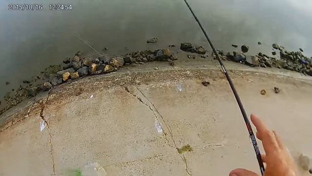 Speckled Trout on popping cork and gulp 3" penny shrimp. смотреть онлайн
