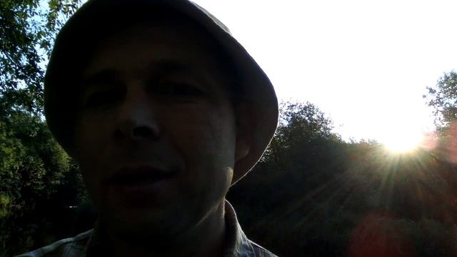 Коуч ментор +7 981 130 83 85 смотреть онлайн