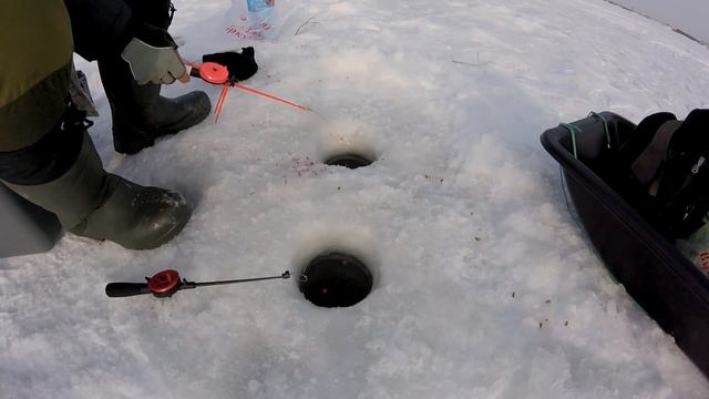 Ловля леща зимой на незнакомом водоеме | Зимняя рыбалка | Ice fishing смотреть онлайн