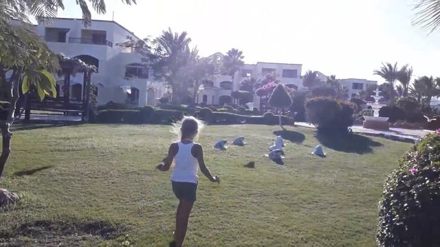 Отдых на территории Regency Plaza Aqua Park смотреть онлайн