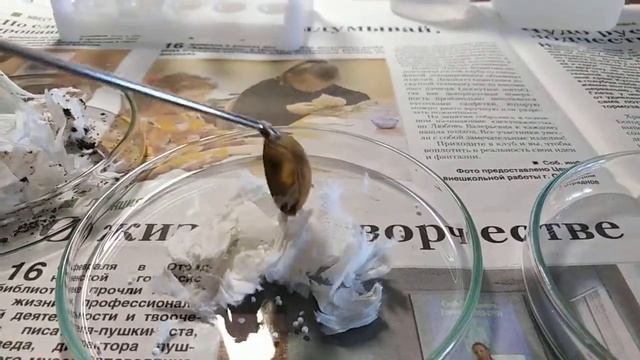 Горение перманганата калия и глицерина смотреть онлайн