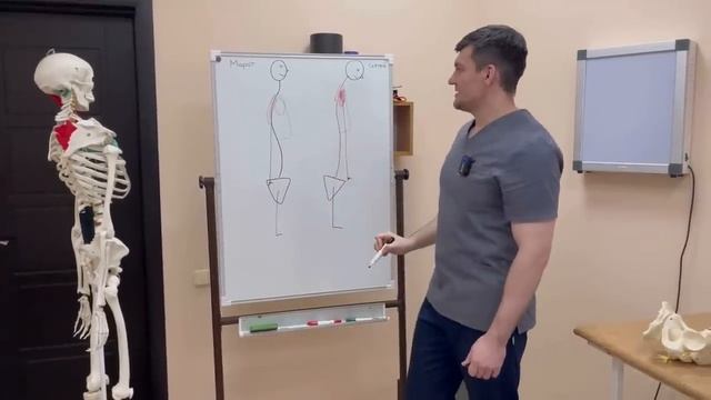 Один раз сделал и сутулиться не смог никогда после этого. Правильная осанка за 5 минут на всю жизнь смотреть онлайн