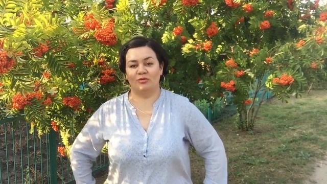5 популярных профессий 2017г часть 2 смотреть онлайн