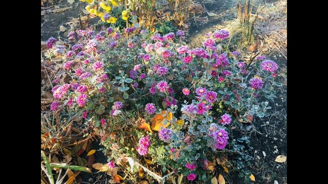 28 Октября День Ефимия Осеннего.Ефим Благочестивый.Народный Календарь.Заговор на Женскую Любовь. смотреть онлайн