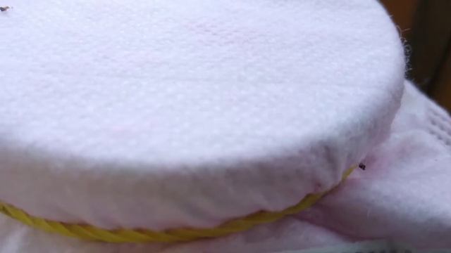 Жонглирование и Акробатика