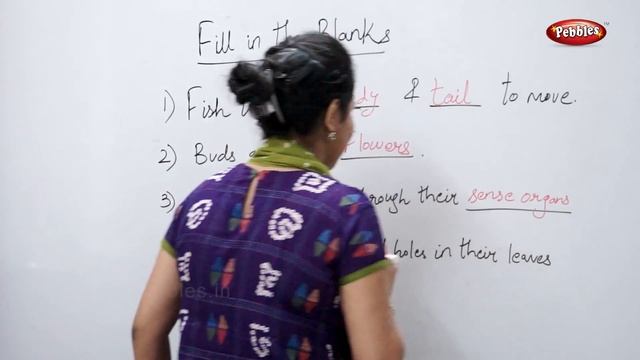 CBSE Class 3 Science :Living and Non-Living | Fill in the Blanks | Science Activities For Kids смотреть онлайн
