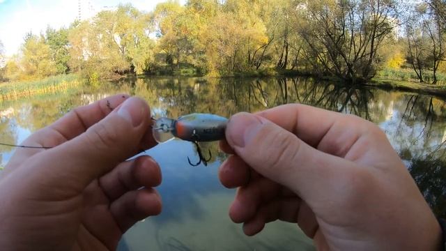 РЫБАЛКА на КРУПНЫЕ приманки!!/ 5 ДНЕЙ ловлю в МАЛЕНЬКОЙ речке! смотреть онлайн