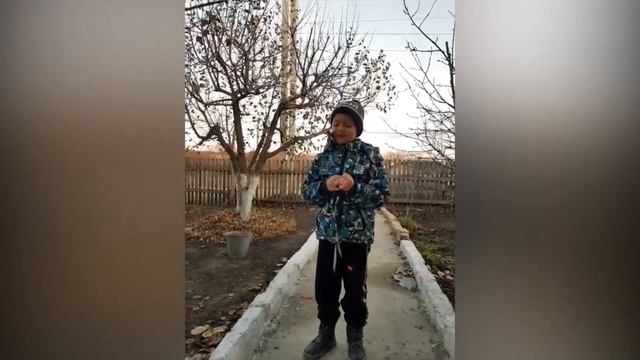 Как у меня появился котенок / Мир Амира смотреть онлайн