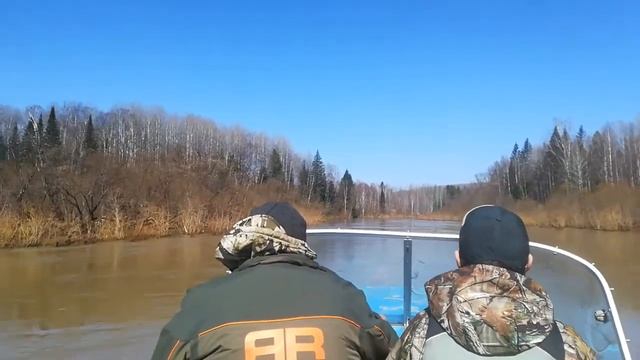 Золотой Китат весна 2018 - 1. смотреть онлайн
