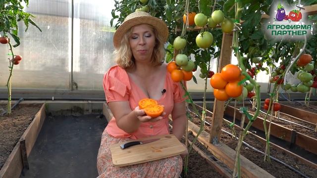 НОВИНКА! ВКУСНЫЙ И МЯСИСТЫЙ ОРАНЖЕВЫЙ БИФ! смотреть онлайн