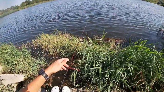 Рыбалка на поплавок на утренней зорьке. Ловля на маховую удочку. смотреть онлайн