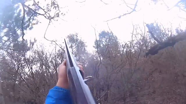 Охота на вальдшнепа осень 2018 с эпаньоль бретёром смотреть онлайн