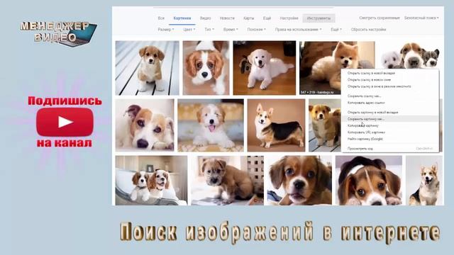 Поиск изображений в интернете | Поиск похожих изображений смотреть онлайн