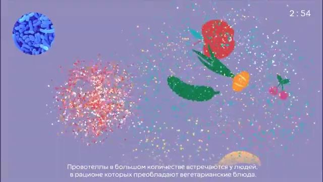 Бактерии желудочно - кишечного тракта | Эстонский музей здравоохранения смотреть онлайн
