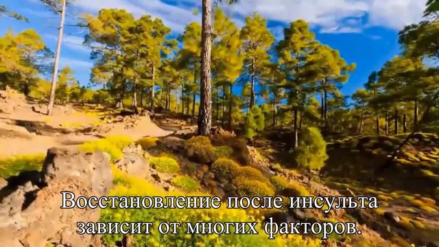 Само не пройдет, скорую немедленно Развенчиваем мифы об инсульте — Статья смотреть онлайн