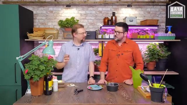 Секреты укоренения черенков Полезные товары для дачников смотреть онлайн
