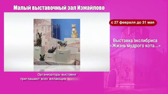 Выставка Жизнь мудрого кота смотреть онлайн