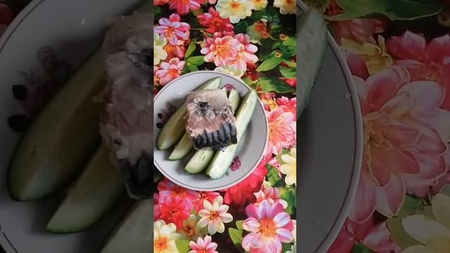 Ужины при ожирении 1 и 2 степени, преддиабете, инсулинорезистентности смотреть онлайн