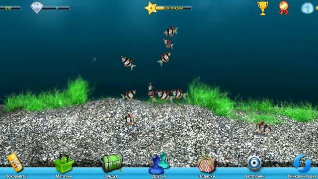 и ещё немного подросли) и да, это довольно дорогая разновидность - Барбус Суматранский:) смотреть онлайн