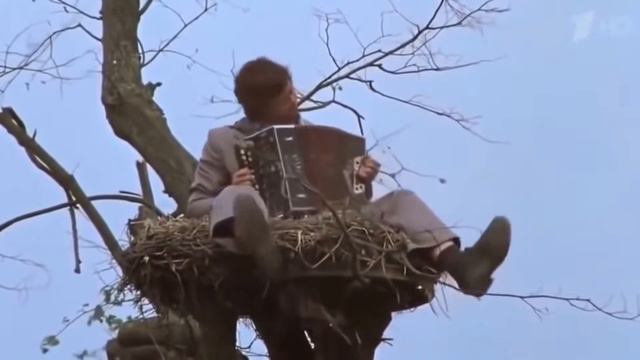 DJ-TITANIK смотреть онлайн