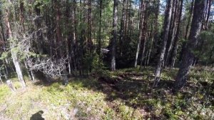 Разные типы грунтов и препятствий на одной эндуро-локации: полезно и весело!