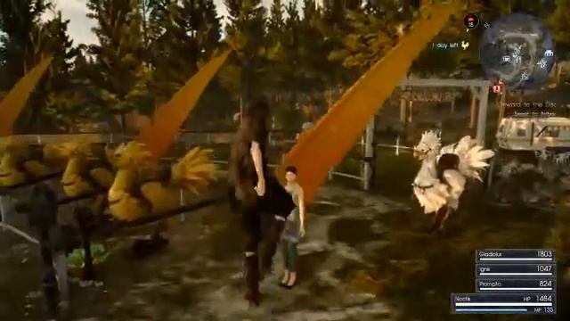 Customize your Chocobo - Name, Colors & Medals - Final fantasy XV(FFXV) смотреть онлайн