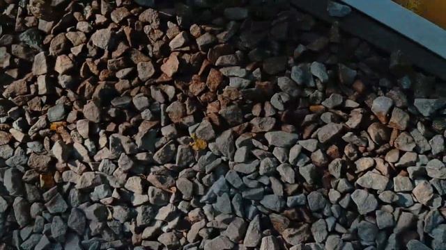 босоногая тропа с моими детьми из Артека смотреть онлайн