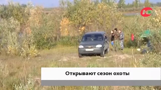 Югорские охотники смогут добывать по 5 тетеревов в день, но по одному вальдшнепу смотреть онлайн