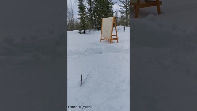 Результаты отстрела патронов, пыжи от винной пробки. смотреть онлайн