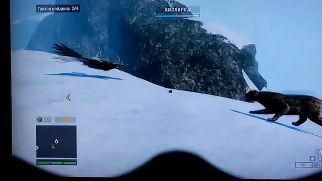 Гепард против сокола FarCry4 смотреть онлайн