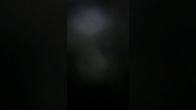 3 ноября 2023 г. смотреть онлайн