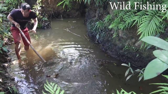 Use Large Capacity Pump 500cc Harvest Hundreds Of Kilograms Of Fish , 200 Meter Deep Pump смотреть онлайн