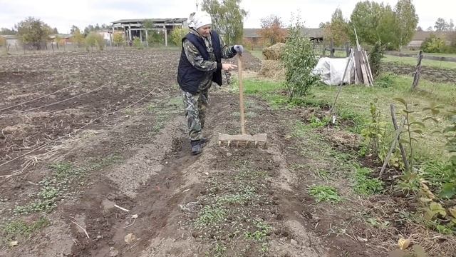 ЧЕСНОК. Посадка разными способами и эксперимент! смотреть онлайн