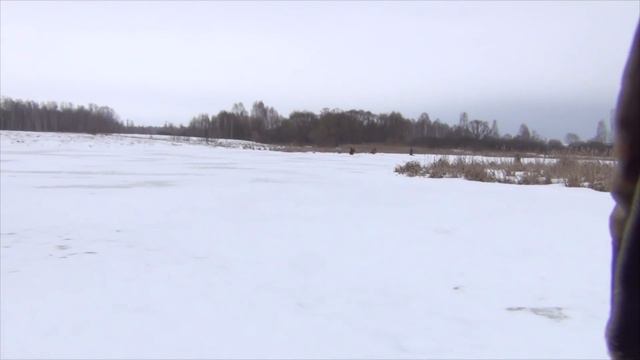 С радостью поставил я удочки у камыша на карася! смотреть онлайн