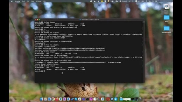 Команды docker save/load, docker export/import. В чем отличие, как и когда ими пользоваться