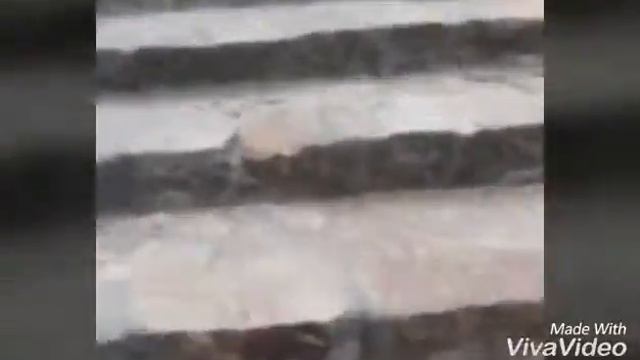 VLOG:Поездка на базу отдыха"Эльдорадо"??? смотреть онлайн