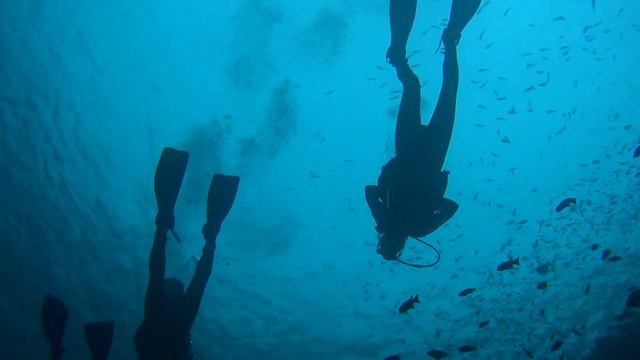Komodo Islands 2017 смотреть онлайн