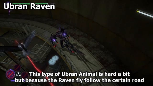 Bayonetta 3 How to Catch the hidden Toad, Crow, and Cat (Umbran Tears of Blood Animals) смотреть онлайн