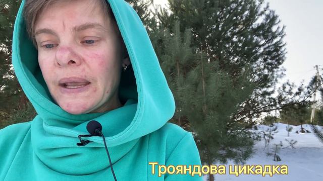 Шкідники троянд: ознаки, ідентифікування та засоби боротьби смотреть онлайн