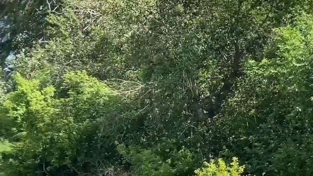 ВОДНЫЕ ПРИКЛЮЧЕНИЯ МАРКА И СВЕТЫ смотреть онлайн