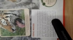 5,5 или 4,3 серии!Про Красную книгу России!