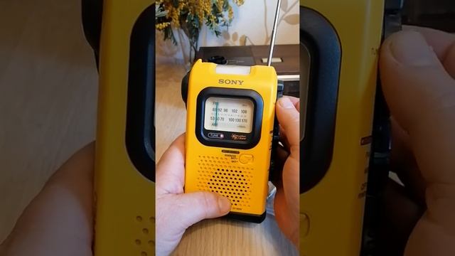 Погодное радио Sony ICF-B05W смотреть онлайн